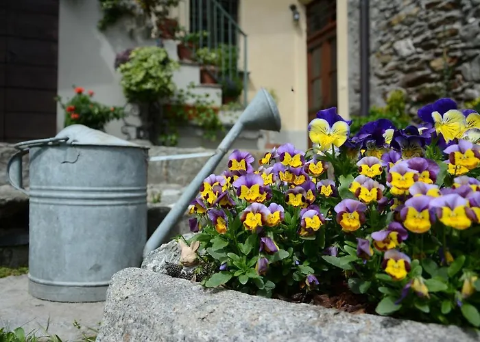 Casa Dolce Casa Apartment