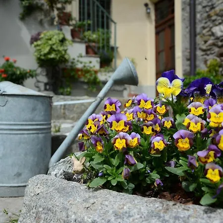 Casa Dolce Casa شقة